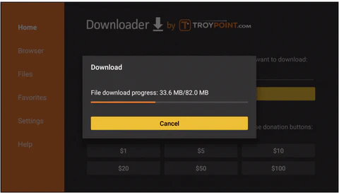 Step 6: Enter the Download URL