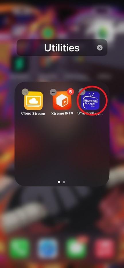 Step 5: Accept Terms